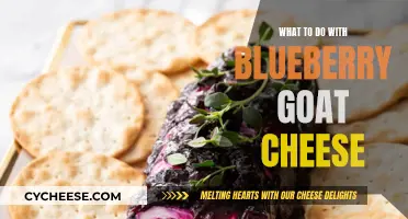 Creative Uses for Blueberry Goat Cheese You Need to Try