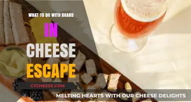 Creative Ways to Use Cheese Board Leftovers in Delicious Recipes