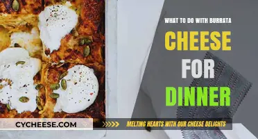 Delicious Burrata Cheese Dinner Ideas: Simple, Elegant, and Mouthwatering Recipes