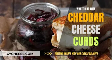 Cheese Curd Creativity: 5 Delicious Ways to Use Cheddar Curds