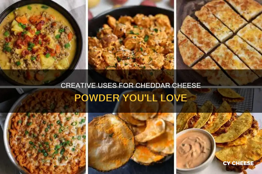 what to do with cheddar cheese powder