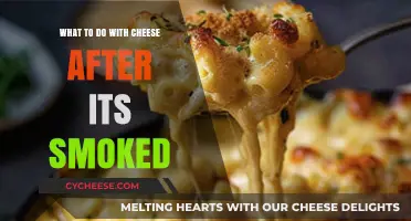 Creative Ways to Enjoy and Preserve Smoked Cheese Delights