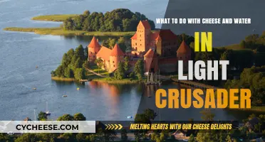 Cheese and Water Secrets: Mastering Light Crusader's Hidden Mechanics