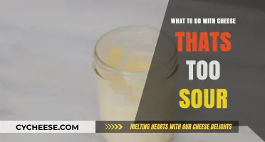 Balancing Act: How to Tame Overly Sour Cheese in Your Kitchen