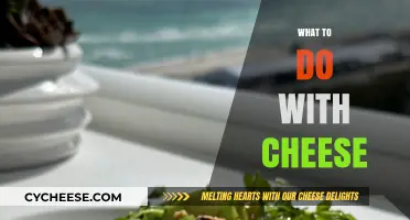 Creative Cheese Ideas: Delicious Ways to Use Cheese in Every Meal