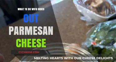Creative Uses for Dried-Out Parmesan Cheese