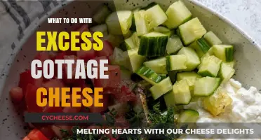 Creative Ways to Use Up Leftover Cottage Cheese in Recipes