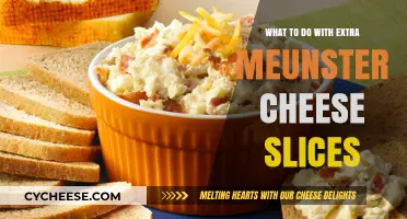 Creative Ways to Use Extra Muenster Cheese Slices in Meals