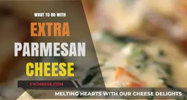 Creative Uses for Leftover Parmesan Cheese