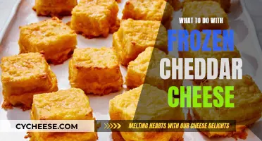 Cheese Frozen? 5 Creative Ways to Use Cheddar