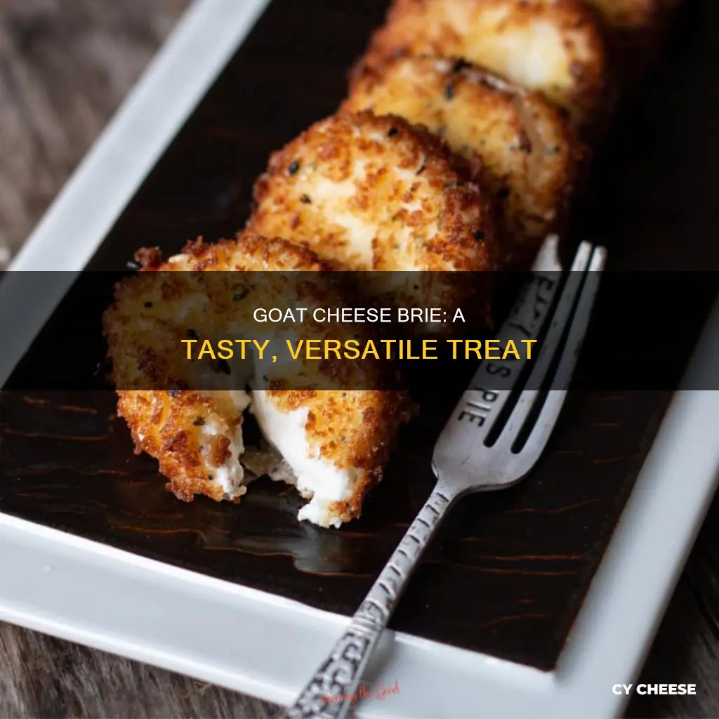 what to do with goat cheese brie