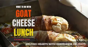 Goat Cheese Delights: Lunchtime Ideas for a Tangy Treat
