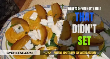 Reviving Goat Cheese: Tips to Fix a Batch That Didn't Set