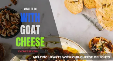 Goat Cheese Delicacies: Creative Culinary Creations