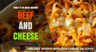 Delicious Ground Beef and Cheese Recipes: Easy Meal Ideas to Try