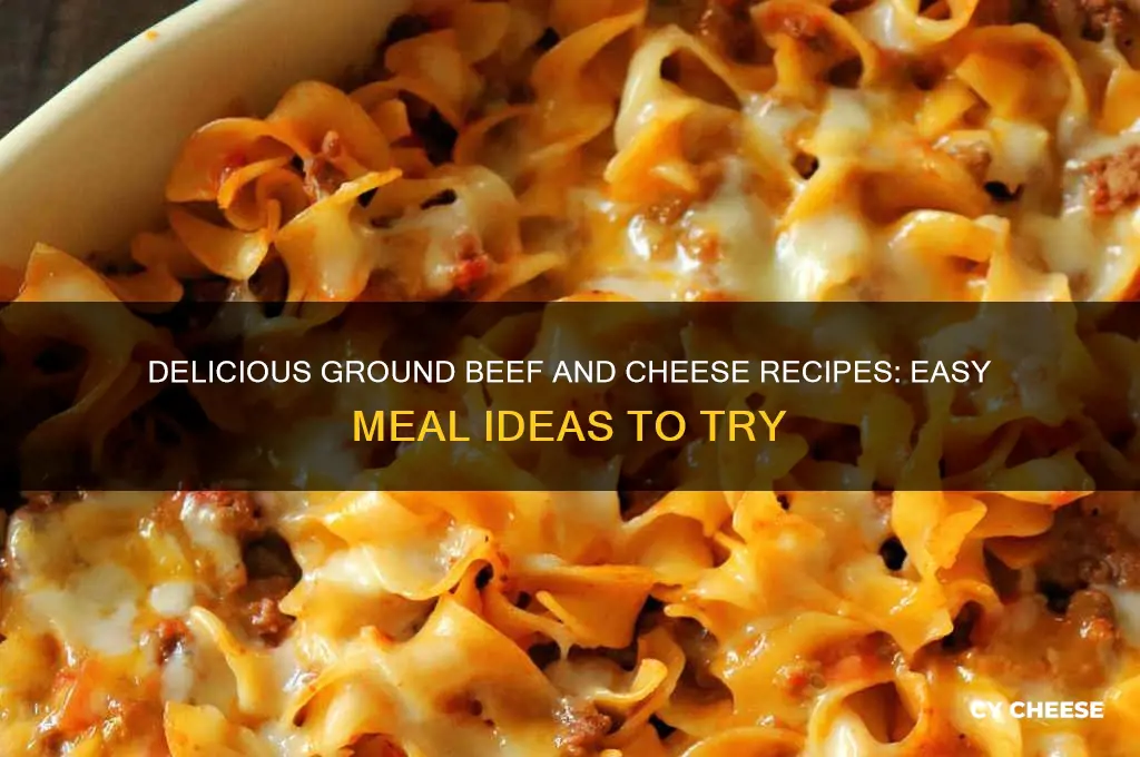 what to do with ground beef and cheese