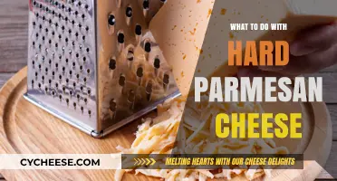 Revive Hard Parmesan Cheese: Delicious Recipes and Tips