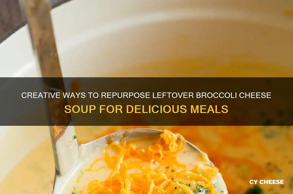 what to do with leftover broccoli cheese soup