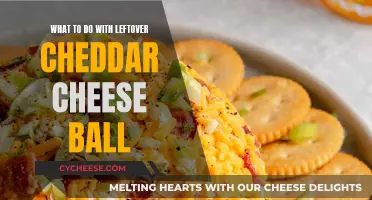 Cheese Ball Ideas: Transform Leftovers into Delicious Dishes