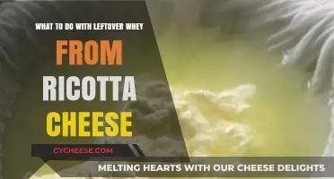 Creative Ways to Use Leftover Whey from Ricotta Cheese Making