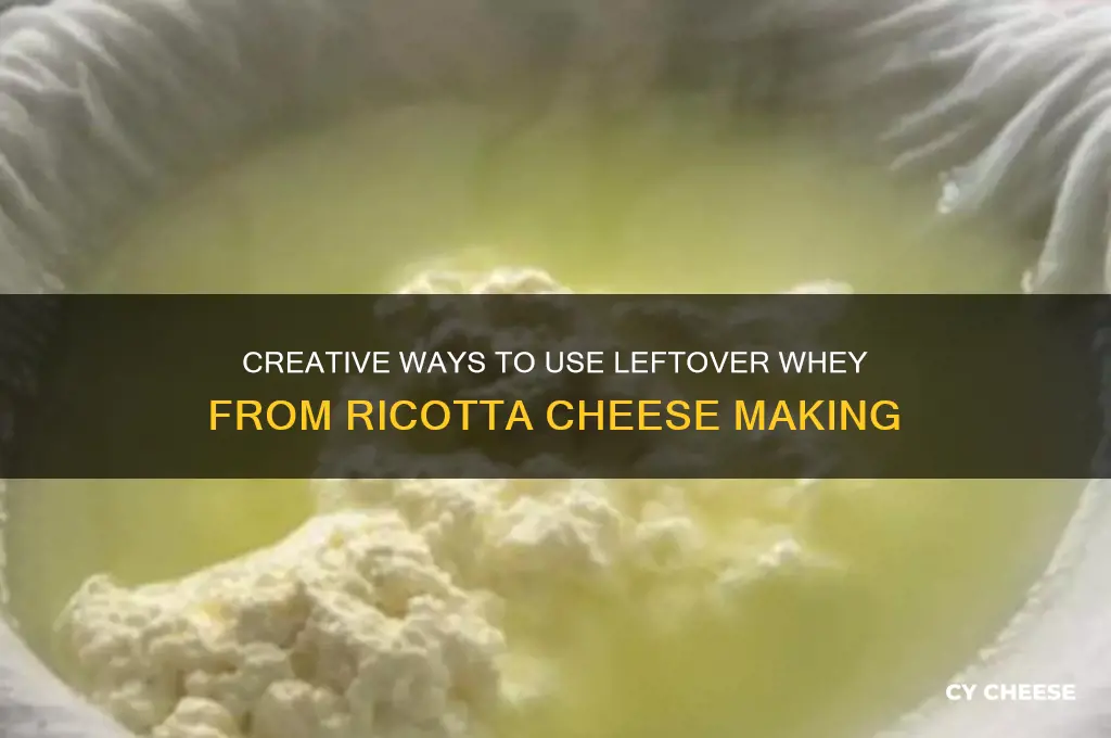 what to do with leftover whey from ricotta cheese