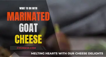 Goat Cheese Creations: Marinade Magic for Your Taste Buds