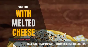 Cheesy Delights: Creative Uses for Melted Cheese