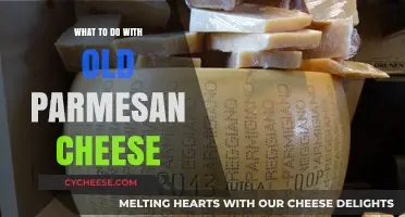 Creative Uses for Old Parmesan Cheese