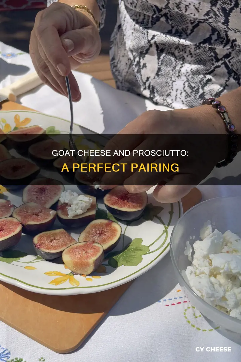what to do with prosciutto and goat cheese