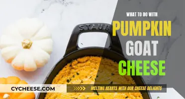 Creative Ways to Use Pumpkin and Goat Cheese: A Delicious Duo