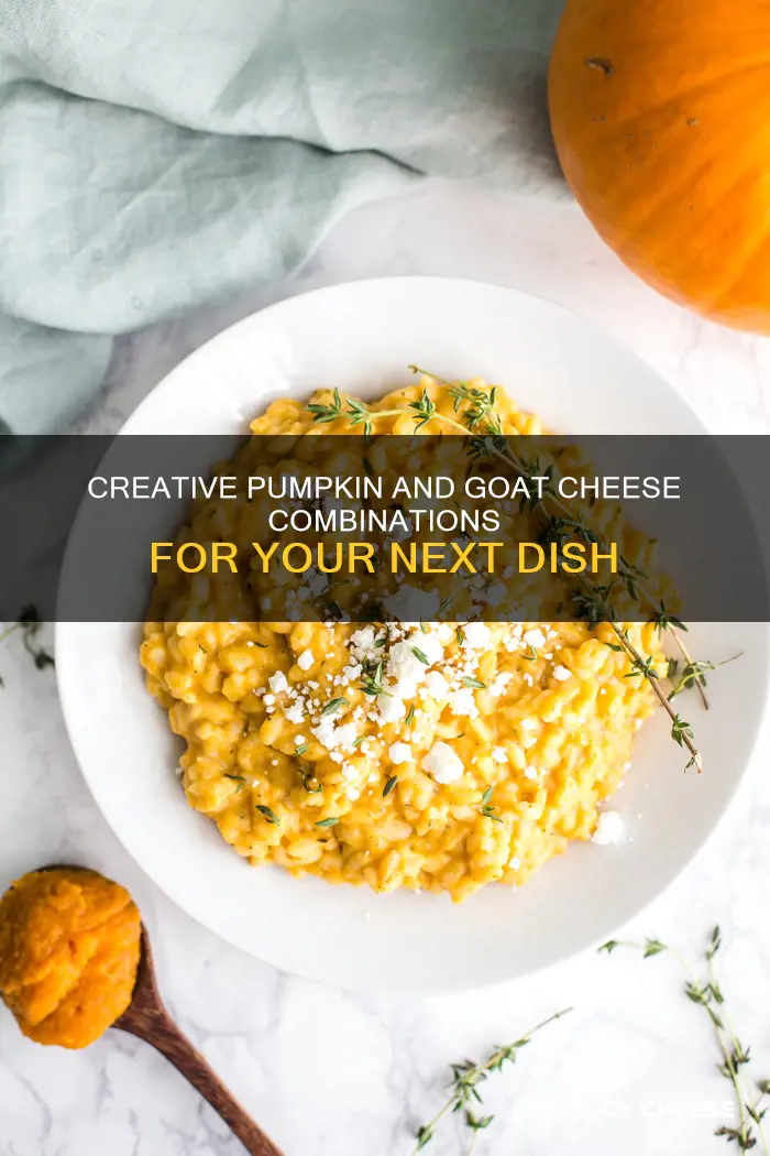 what to do with pumpkin goat cheese