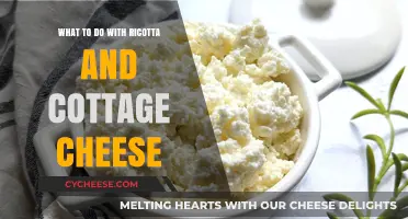 Creative Ways to Use Ricotta and Cottage Cheese in Your Kitchen