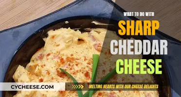 Cheese Adventures: 7 Creative Ways to Use Sharp Cheddar