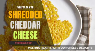 Cheese Extravaganza: 5 Creative Ways to Use Shredded Cheddar