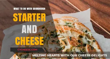 Creative Sourdough Starter and Cheese Pairings: Delicious Recipes to Try