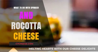 Spinach and Ricotta Cheese: Creative Recipes and Delicious Ideas