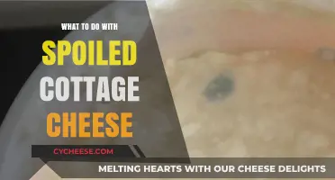 Creative Uses for Spoiled Cottage Cheese: Tips and Tricks