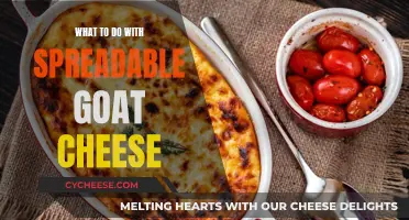 Goat Cheese Delights: Creative Ways to Use Spreadable Cheese