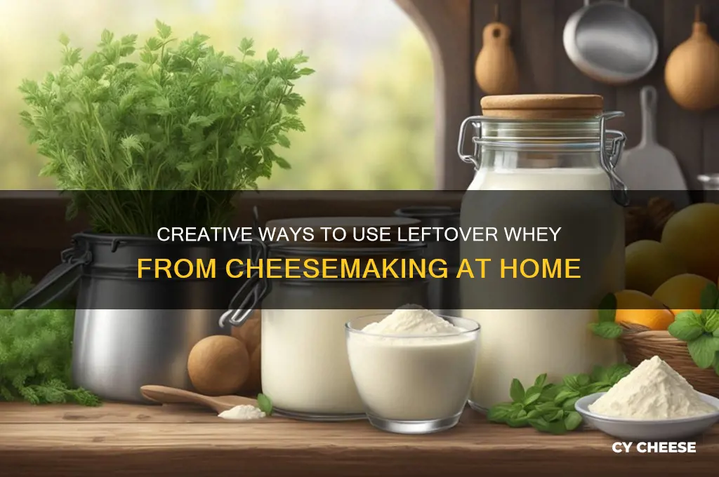 what to do with the whey after making cheese