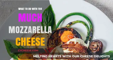 Creative Ways to Use Excess Mozzarella Cheese in Delicious Recipes