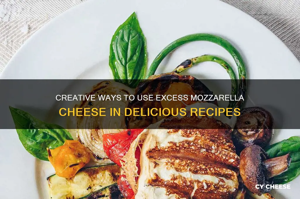 what to do with too much mozzarella cheese