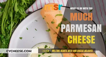 Creative Ways to Use Excess Parmesan Cheese in Your Kitchen