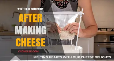 Creative Ways to Use Leftover Whey from Cheesemaking at Home