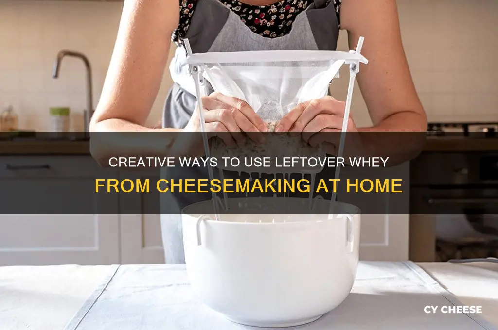 what to do with whey after making cheese