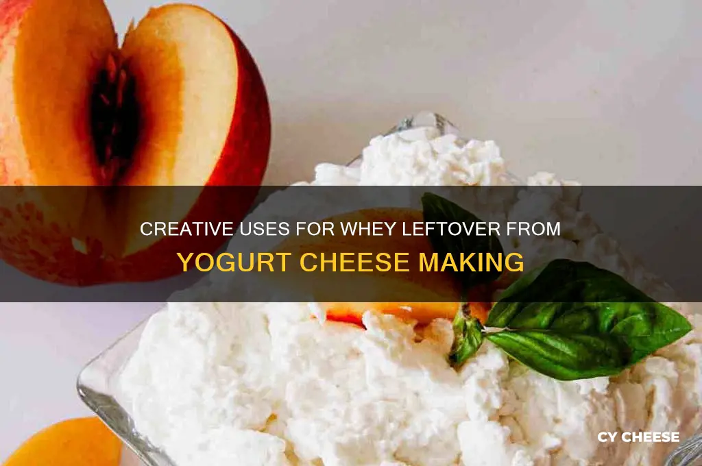 what to do with whey from yogurt cheese