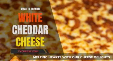 Cheesy Adventures: 10 Ways to Use Up White Cheddar