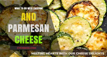 Zucchini, Parmesan: A Perfect Pairing for Your Next Dish