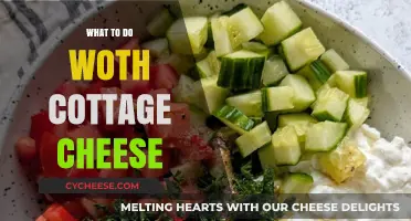 Creative Cottage Cheese Ideas: Delicious Ways to Enjoy This Versatile Ingredient