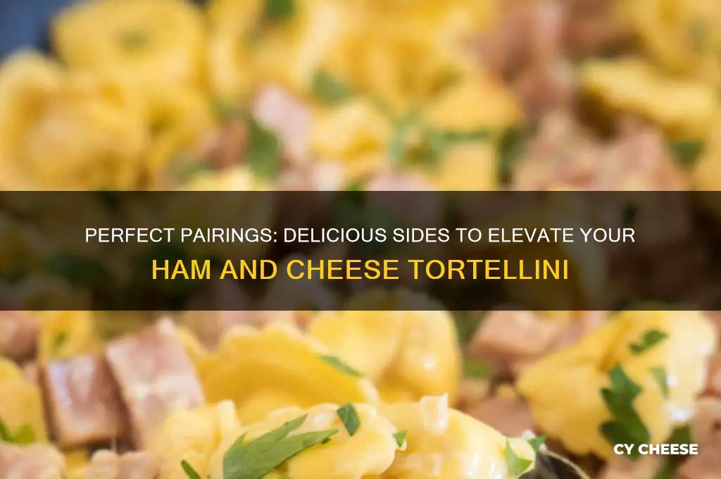 what to have with ham and cheese tortellini