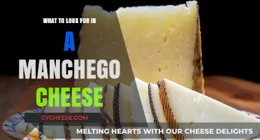 Perfect Manchego Cheese: Key Qualities and Characteristics to Seek Out